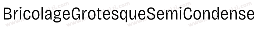 BricolageGrotesqueSemiCondensed Bol字体转换